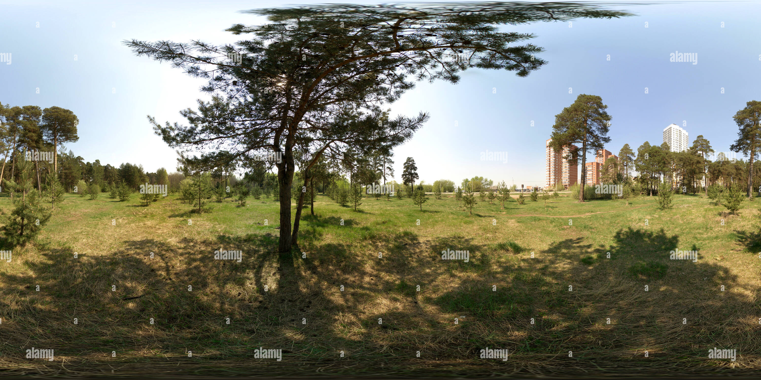 Visualizzazione panoramica a 360 gradi di Поляна возле ул. Встречной