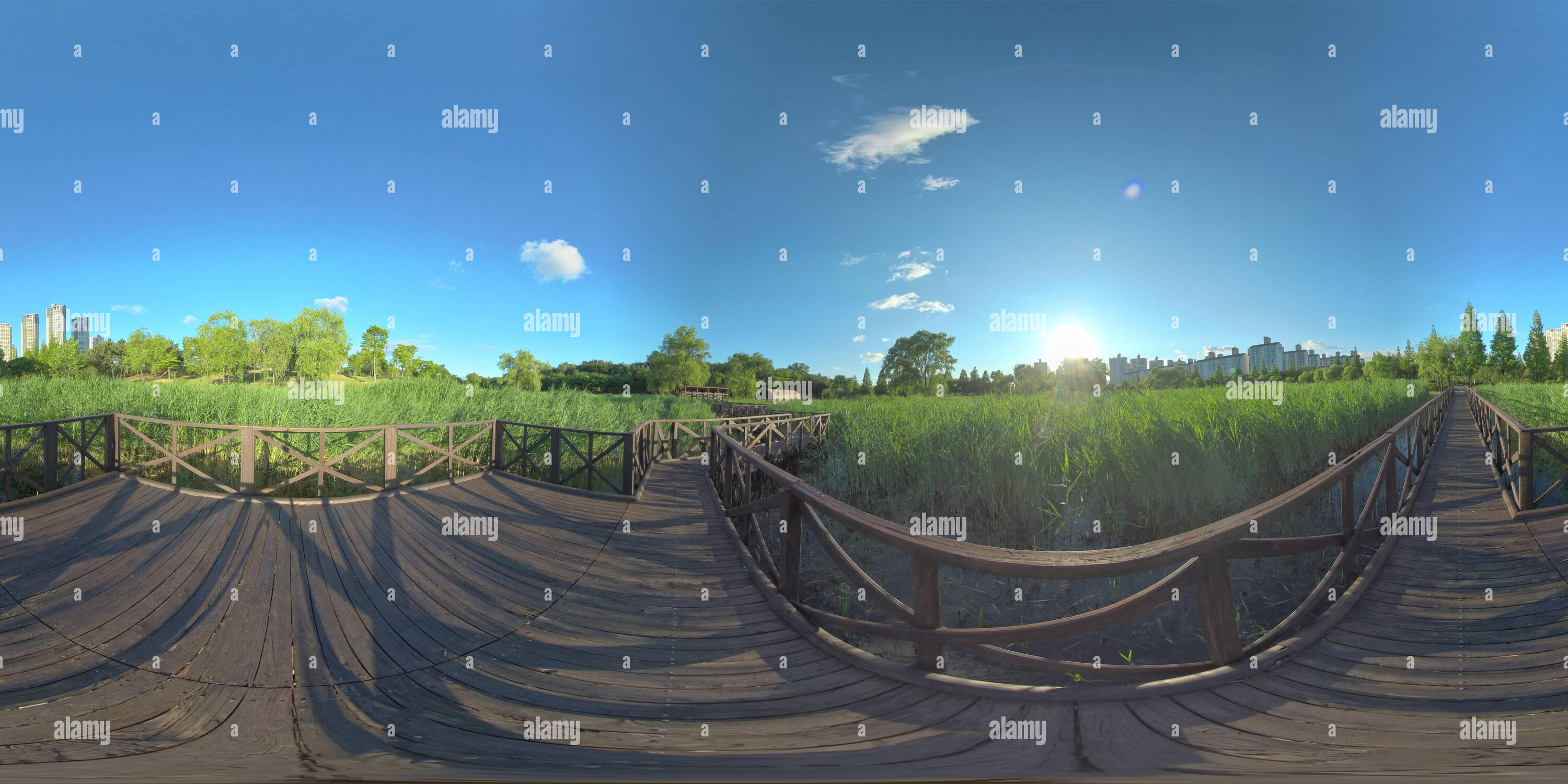 Visualizzazione panoramica a 360 gradi di Ansan, Corea del Sud - 7 giugno 2019. Panorama a 360 gradi vista parco. Foresta e parco 360 immagine, VR AR contenuto.