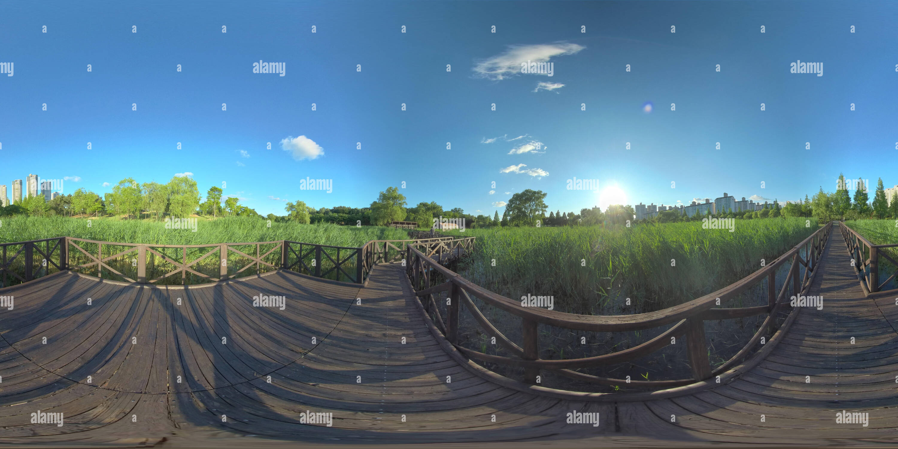 Visualizzazione panoramica a 360 gradi di Ansan, Corea del Sud - 7 giugno 2019. Panorama a 360 gradi vista parco. Foresta e parco 360 immagine, VR AR contenuto.