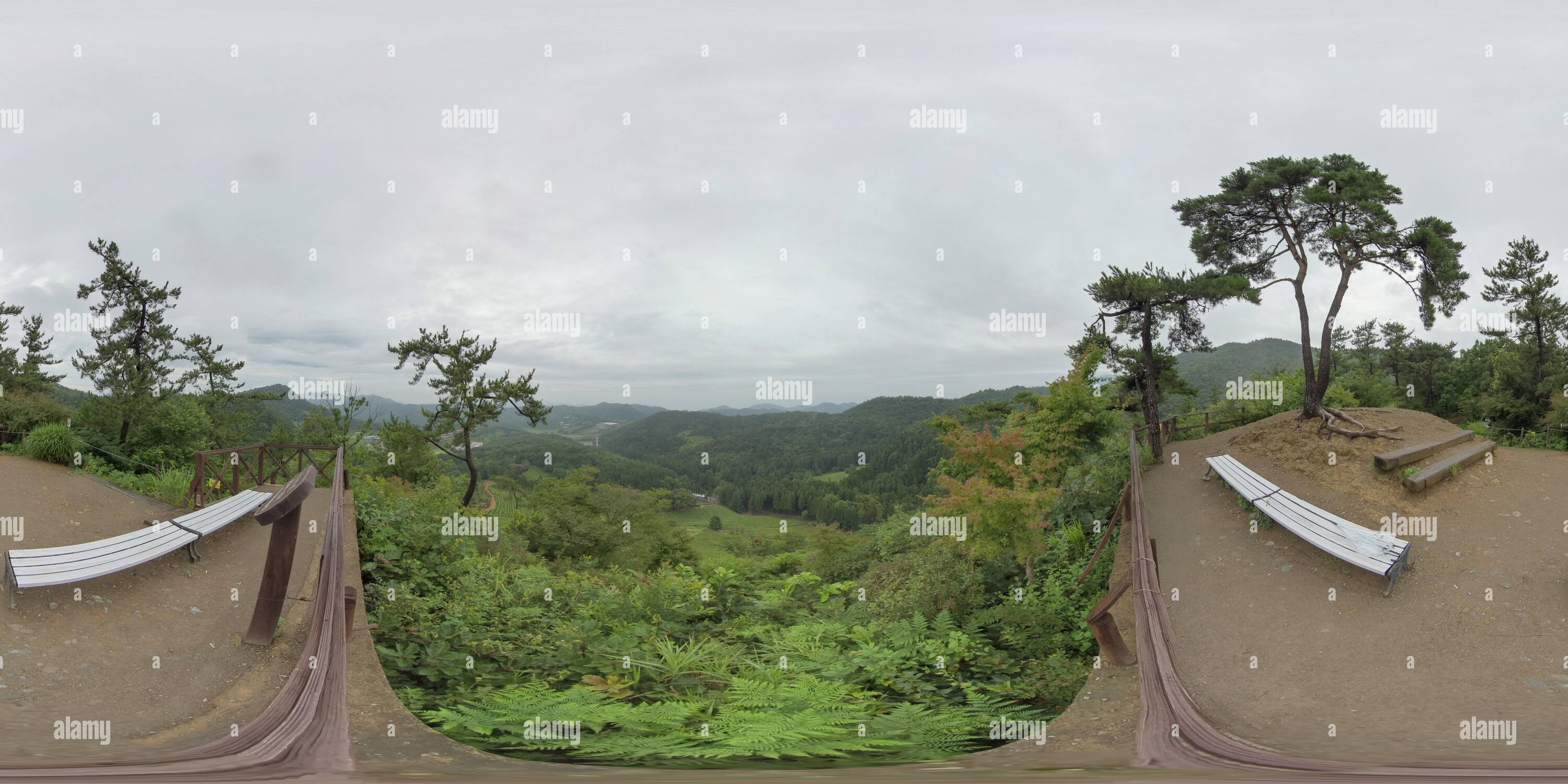 Visualizzazione panoramica a 360 gradi di Boseong, la Corea del sud ? 18 luglio 2019 Daehandawon. 360 gradi panorama sferica di Daehandawon.