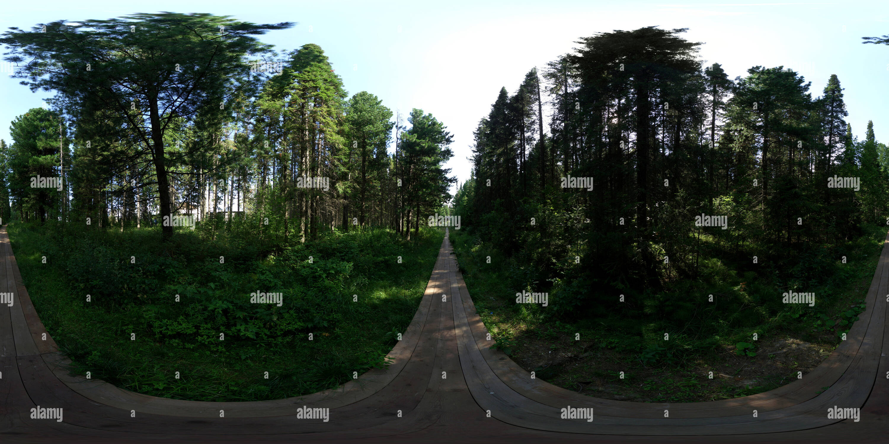 Visualizzazione panoramica a 360 gradi di Деревянный тротуар у Назымской